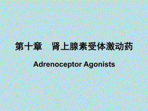 第10章肾上腺素受体激动药.ppt