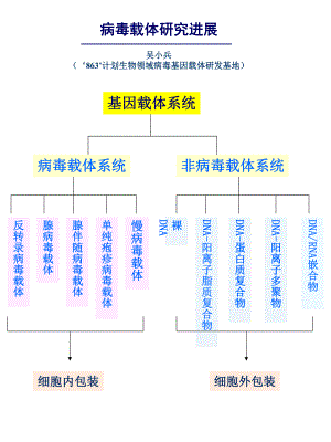 病毒载体研究进展名师编辑PPT课件.ppt