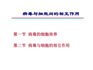 病毒与细胞的相互作用.ppt