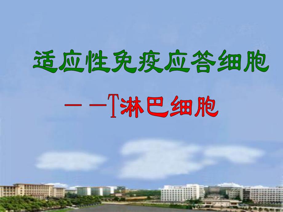 第10章T细胞08下.ppt_第1页