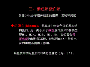 第10章2细胞核与染色体.ppt