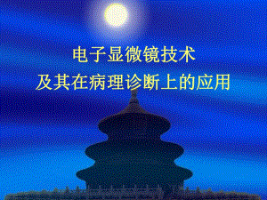病理学基础电镜.ppt