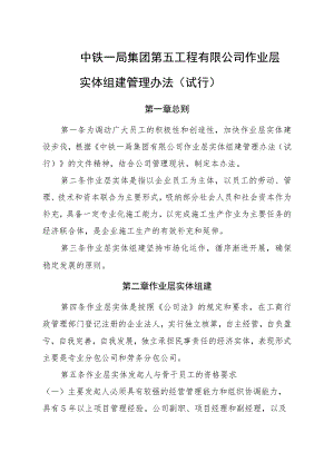 中铁一局集团第五工程有限公司作业层实体组建管理办法(试行).docx