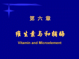 第06章维生素.ppt