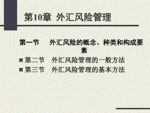 第10章外汇风险管理.ppt