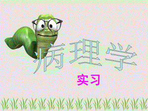 病理学实习一.ppt