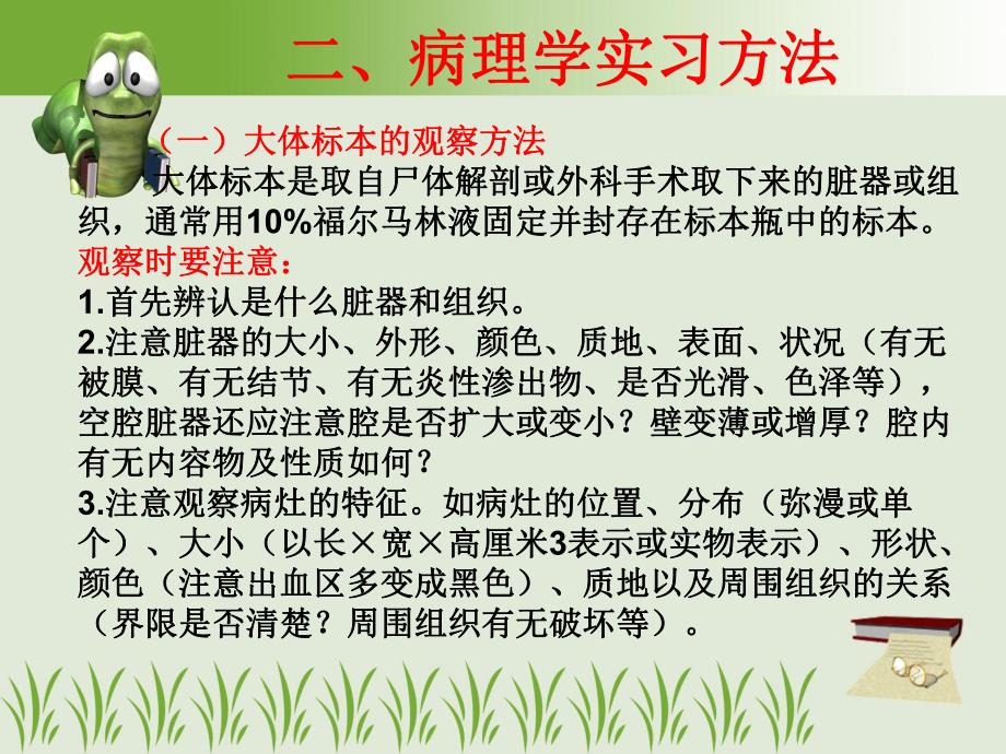 病理学实习一.ppt_第3页