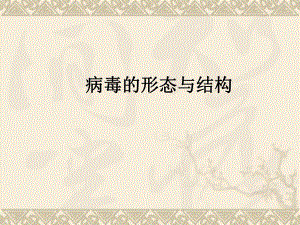 病毒形态与结构.ppt