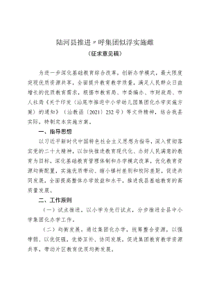 陆河县推进小学集团化办学实施方案.docx