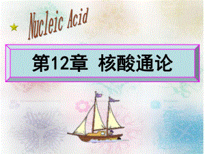 第12章核酸通论名师编辑PPT课件.ppt
