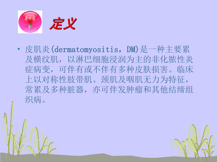 皮肌炎护理查房.ppt_第2页