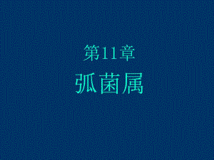 第11章弧菌.ppt