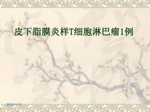皮下脂膜炎样t细胞淋巴瘤1个例ppt课件.ppt