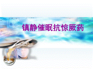 第11章镇静催眠抗惊厥药名师编辑PPT课件.ppt