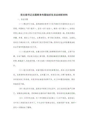 党支部书记主题教育专题组织生活会剖析材料.docx