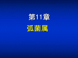 第11章弧菌属ppt课件名师编辑PPT课件.ppt