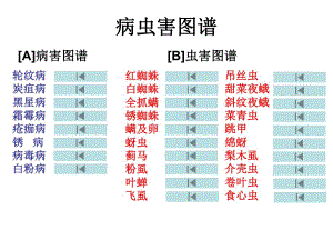 病虫害图谱名师编辑PPT课件.ppt