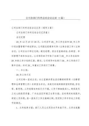 公司各部门年终总结会议记录（3篇）.docx