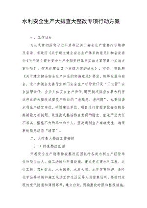 水利安全生产大排查大整改专项行动方案.docx