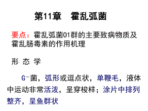 第11章弧菌属.ppt