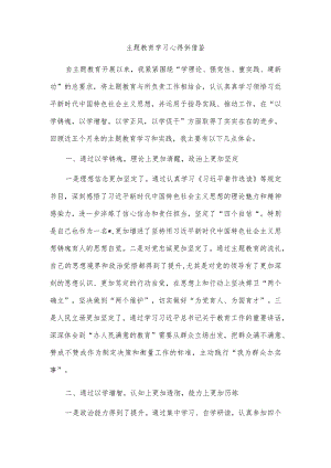 主题教育学习心得供借鉴.docx