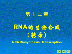第12章转录.ppt