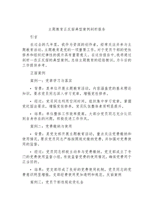 主题教育正反面典型案例剖析报告.docx