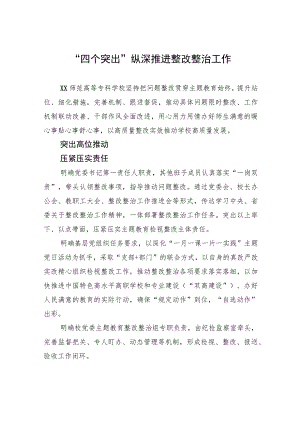 “四个突出”纵深推进整改整治工作.docx