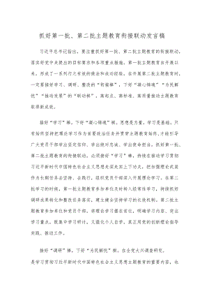 抓好第一批、第二批主题教育衔接联动发言稿.docx
