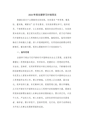 2023年党支部学习计划范文.docx