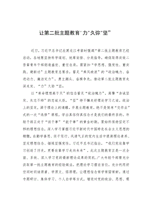 让第二批主题教育“力”久弥“坚”.docx
