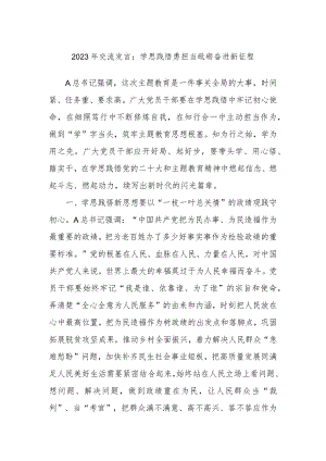 2023年交流发言：学思践悟勇担当砥砺奋进新征程.docx