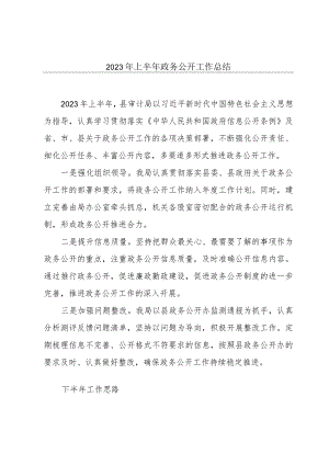 2023年上半年政务公开工作总结.docx