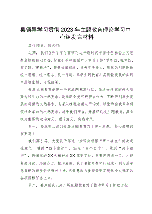 县领导干部2023年主题教育理论学习中心组发言材料.docx