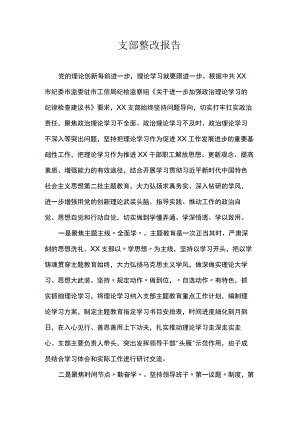 支部整改报告.docx