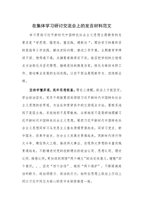 在集体学习研讨交流会上的发言材料范文.docx