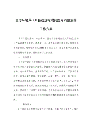 生态环境局XX县分局违规吃喝问题专项整治的工作方案.docx