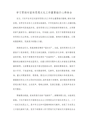 学习贯彻对宣传思想文化工作重要指示心得体会.docx