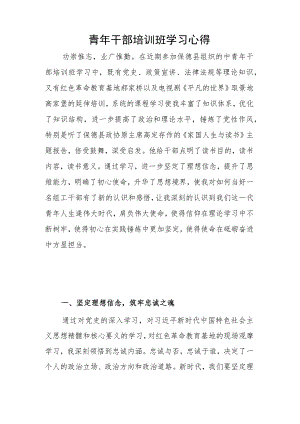 青年干部培训班学习心得.docx
