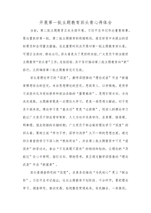 开展第一批主题教育回头看心得体会.docx
