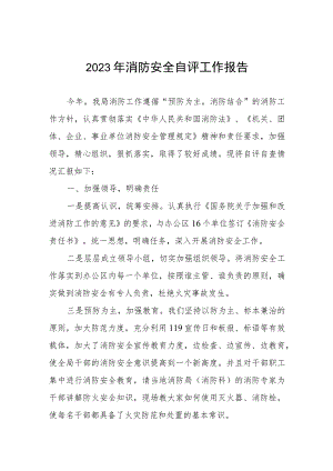 2023年消防安全自评工作报告.docx