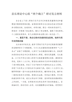 县长理论中心组“两个确立”研讨发言材料.docx