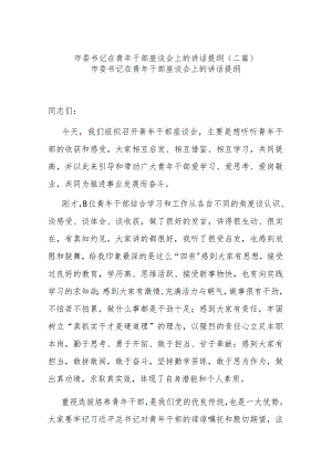 市委书记在青年干部座谈会上的讲话提纲(二篇).docx