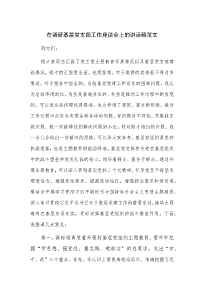 在调研基层党支部工作座谈会上的讲话稿范文.docx