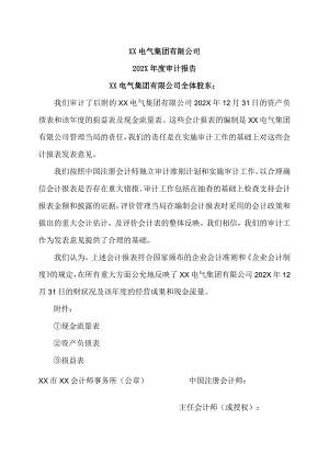 XX电气集团有限公司202X年度审计报告（2023年）.docx