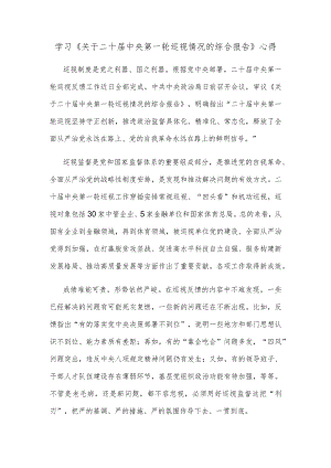 学习《关于二十届中央第一轮巡视情况的综合报告》心得.docx