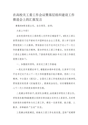 在高校关工委工作会议暨基层组织建设工作推进会上的汇报发言.docx