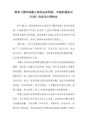 研读《携手构建人类命运共同体：中国的倡议与行动》白皮书心得体会2篇.docx