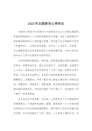 民警2023开展主题教育心得体会九篇.docx