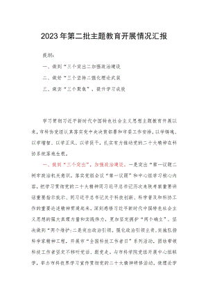 2023年第二批主题教育开展情况汇报.docx